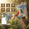 Smart Bird Feeder with Camera and Solar Power