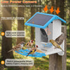 Smart Bird Feeder with Camera and Solar Power
